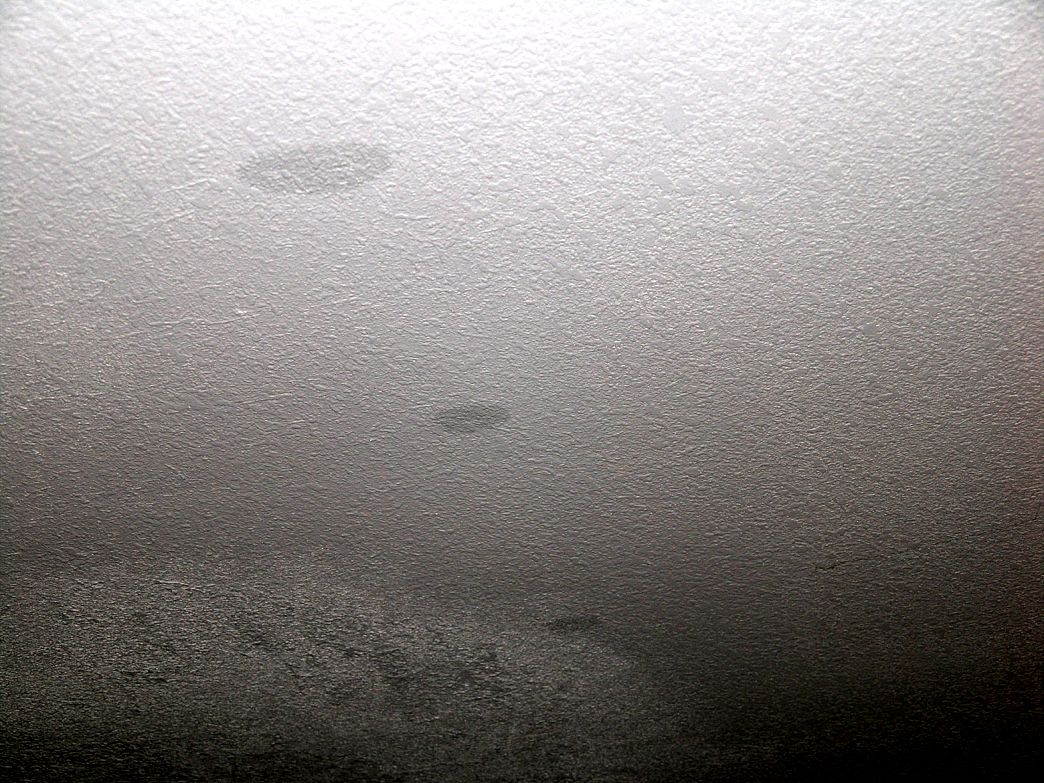 Dog Leaving Small Wet Spots
